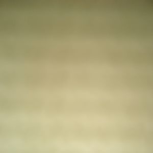 Meet your Posher, Nathaniel